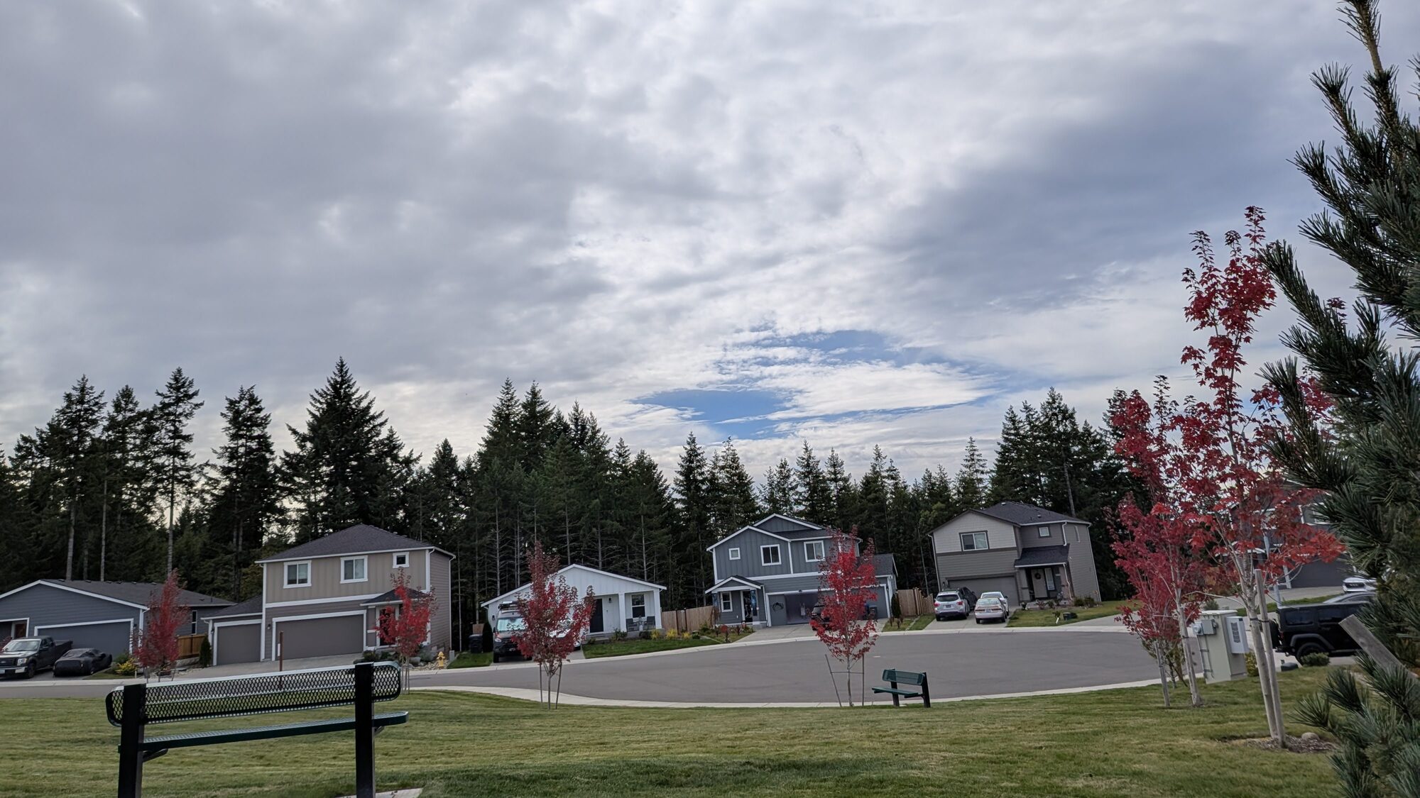 Olympic Ridge homes around a landscaped common green with a bench and red autumn maples