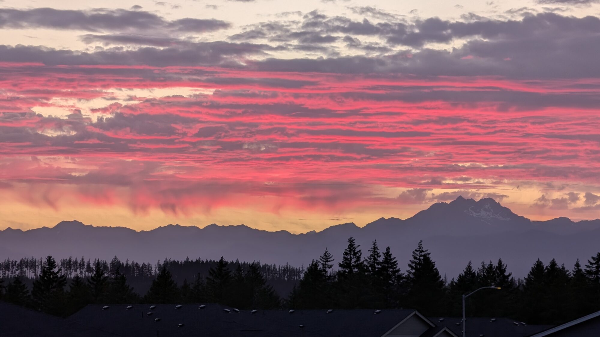 Bands of pink and red sunrise cloud over the Olympic Mountains seen from Olympic Ridge